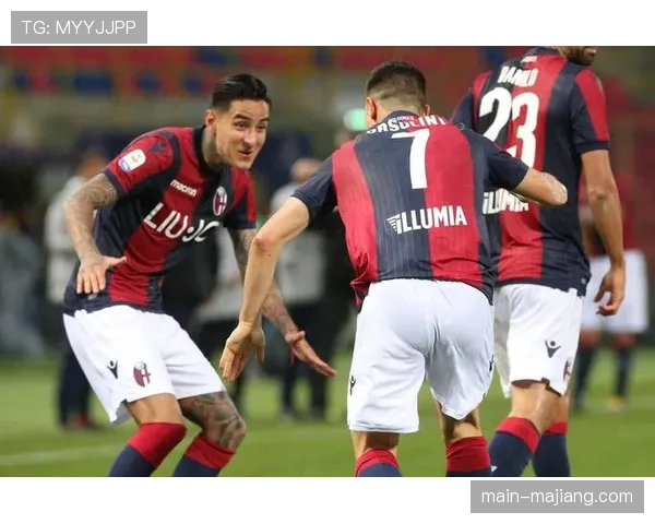 维罗纳积分垫底保级形势堪忧距离安全区已达九分